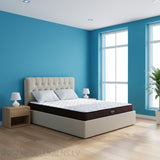 Gulta Gubernator + matracis Royal