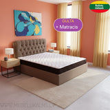 Gulta Gubernator + matracis Royal